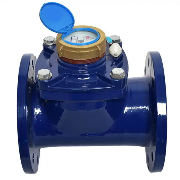 Gray iron case horizontal removable flange industrial water meter