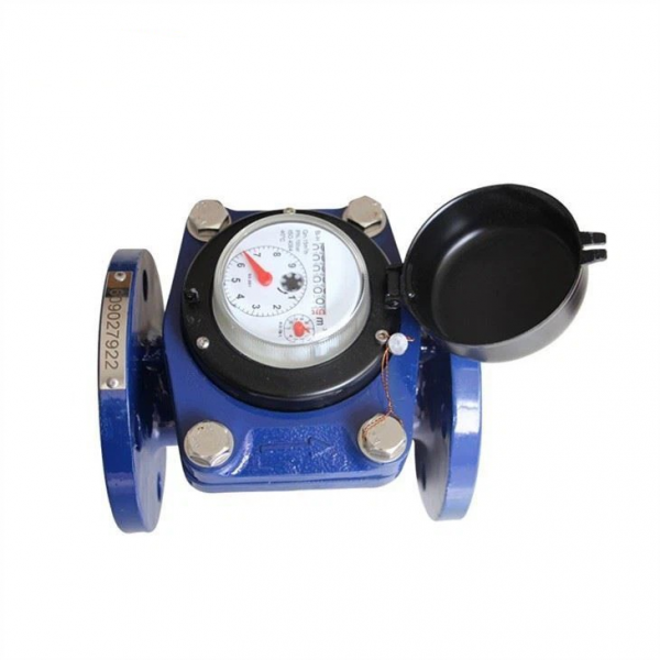 Gray iron case removable horizontal flange industrial water meter