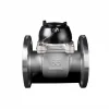 Stainless steel removable horizontal flange industrial water meter